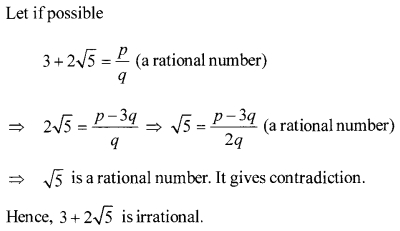 CBSE Sample Papers for Class 10 Maths Paper 10 17