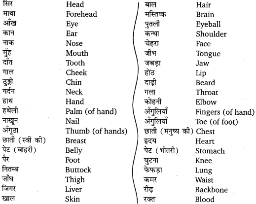 UP Board Solutions for Class 12 English Chapter 3 Appendix 4