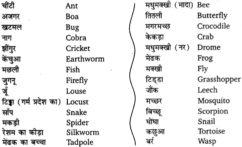 UP Board Solutions for Class 12 English Chapter 3 Appendix 6