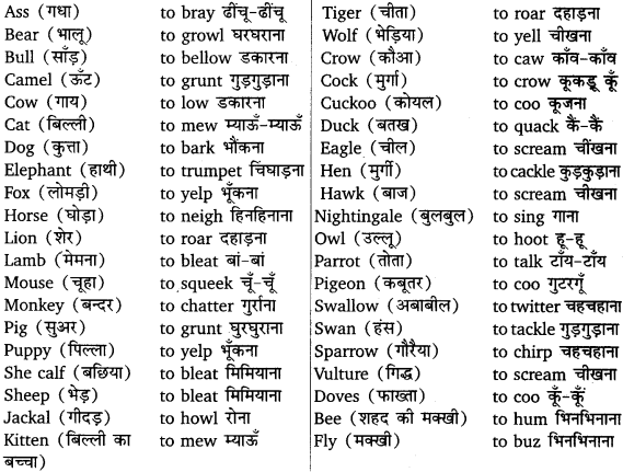 UP Board Solutions for Class 12 English Chapter 3 Appendix 8