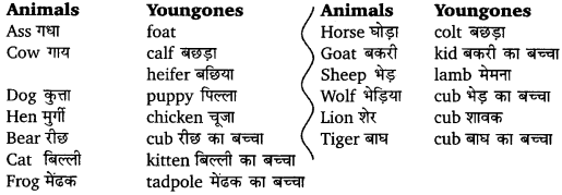 UP Board Solutions for Class 12 English Chapter 3 Appendix 9