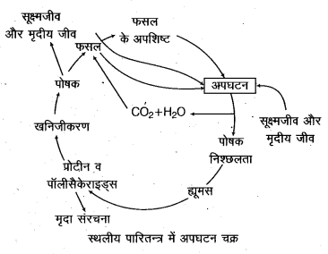 UP Board Class 12 Biology Model Papers Paper 1 1