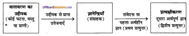 UP Board Solutions for Class 11 Psychology Chapter 6 Perception 1