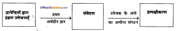 UP Board Solutions for Class 11 Psychology Chapter 6 Perception 2