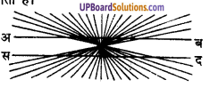 UP Board Solutions for Class 11 Psychology Chapter 6 Perception 6