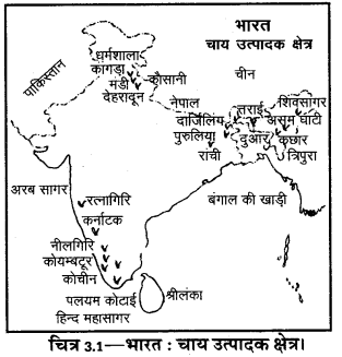 UP Board Solutions for Class 12 Geography Chapter 21 Agriculture a