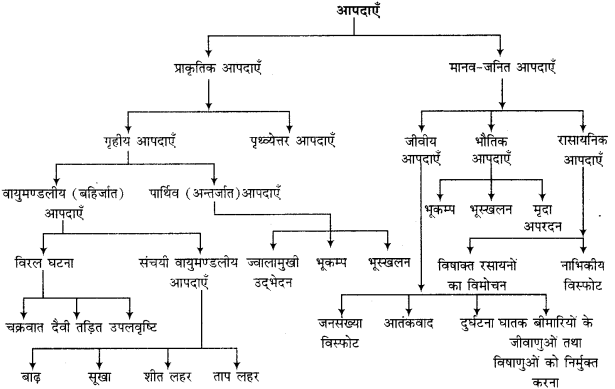 UP Board Solutions for Class 12 Sociology Chapter 3 Disaster Management 1