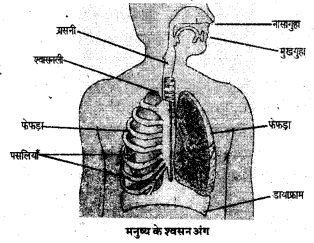 UP Board Class 6 Science Model Paper विज्ञान आओ समझें विज्ञान 1