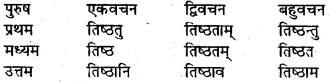 UP Board Class 8 Sanskrit Model Paper संस्कृत पीयूषम् 2