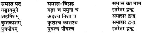 UP Board Solutions for Class 9 Sanskrit Chapter 5 30