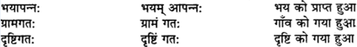 UP Board Solutions for Class 9 Sanskrit Chapter 5 5
