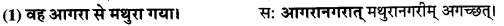 UP Board Solutions for Class 9 Sanskrit Chapter 8 हिन्दी वाक्यों का संस्कृत में अनुवाद 19