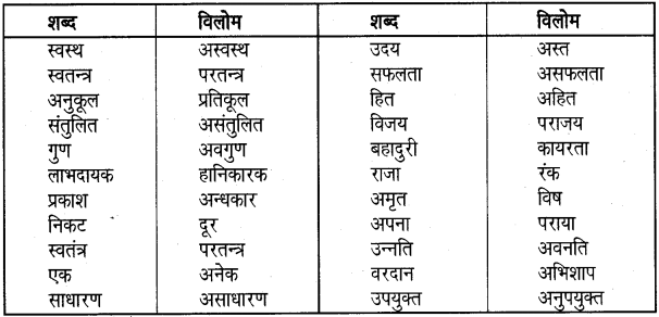 UP Board Class 5 Hindi व्याकरण 3