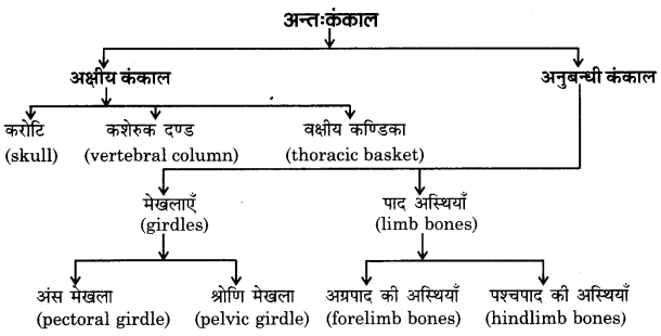 UP Board Solutions for Class 11 Home Science Chapter 1 12