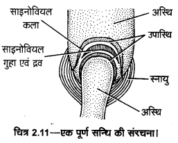 UP Board Solutions for Class 11 Home Science Chapter 1 21