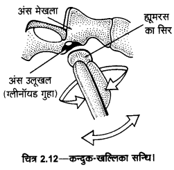 UP Board Solutions for Class 11 Home Science Chapter 1 22