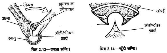 UP Board Solutions for Class 11 Home Science Chapter 1 23