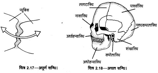 UP Board Solutions for Class 11 Home Science Chapter 1 25