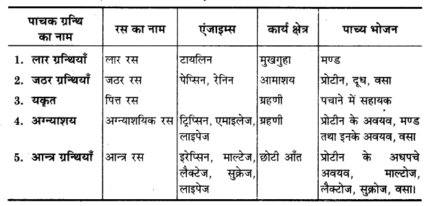 UP Board Solutions for Class 11 Home Science Chapter 1 32