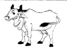UP Board Solutions for Class 2 English Chapter 7 Animals 2