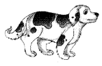 UP Board Solutions for Class 2 English Chapter 7 Animals 5