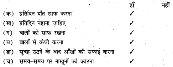 UP Board Solutions for Class 3 EVS Hamara Parivesh Chapter 12 यातायात के साधन 1