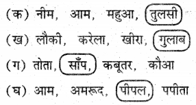 UP Board Solutions for Class 3 EVS Hamara Parivesh Chapter 4 परिवेशीय जीव-जंतु 3