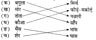UP Board Solutions for Class 3 EVS Hamara Parivesh Chapter 6 पशु पक्षियों का भोजन एवं सहायक अंग 1