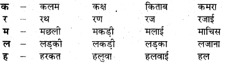 UP Board Solutions for Class 3 Hindi Kalrav Chapter 14 माथापच्ची 1