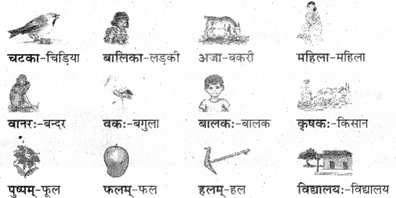 UP Board Solutions for Class 3 Sanskrit Piyusham Chapter 2 चित्रपाठ1 1