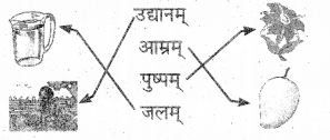 UP Board Solutions for Class 3 Sanskrit Piyusham Chapter 5 चित्रपाठ 4