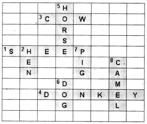 UP Board Solutions for Class 4 English Rainbow Chapter 12 I Love Little Pussy 2