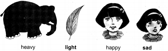 UP Board Solutions for Class 4 English Rainbow Chapter 15 The Sun and The Moon 1
