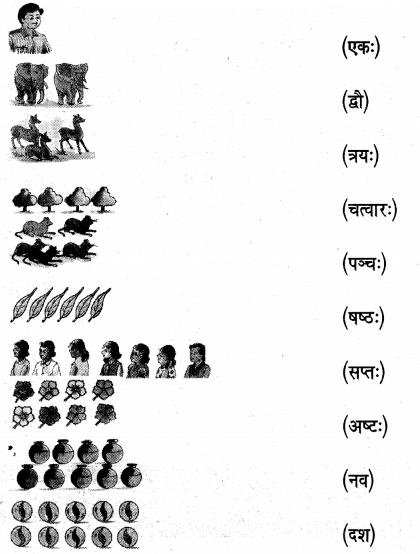 UP Board Solutions for Class 5 Sanskrit Piyusham Chapter 18 एकः कुत्र गतः 1