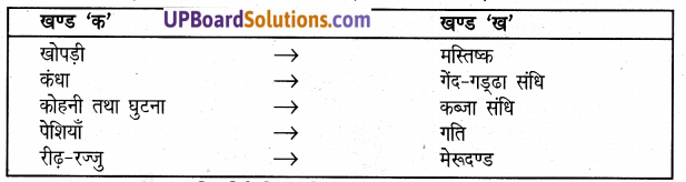 UP Board Solutions for Class 5 Science Parakh Chapter 4 मानव कंकाल, पेसियां और गतियाँ 1