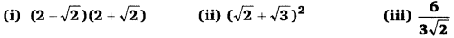 Balaji Class 9 Maths Solutions Chapter 1 Real Numbers Ex 1.2 Q 7