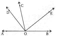 Balaji Class 9 Maths Solutions Chapter 10 Lines and Angle Ex 10.2 Q48
