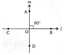 Balaji Class 9 Maths Solutions Chapter 10 Lines and Angle Ex 10.2 Q57
