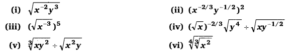 Balaji Class 9 Maths Solutions Chapter 2 Exponents of Real Numbers Ex 2.1 SAQ 36