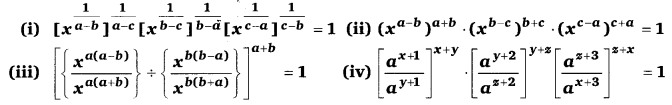 Balaji Class 9 Maths Solutions Chapter 2 Exponents of Real Numbers Ex 2.1 SAQ 45