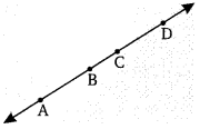 Balaji Class 9 Maths Solutions Chapter 9 Introduction to Euclid's Geometry Ex 9.1 10