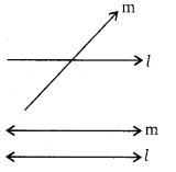 Balaji Class 9 Maths Solutions Chapter 9 Introduction to Euclid's Geometry Ex 9.1 6