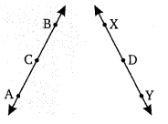 Balaji Class 9 Maths Solutions Chapter 9 Introduction to Euclid's Geometry Ex 9.1 9