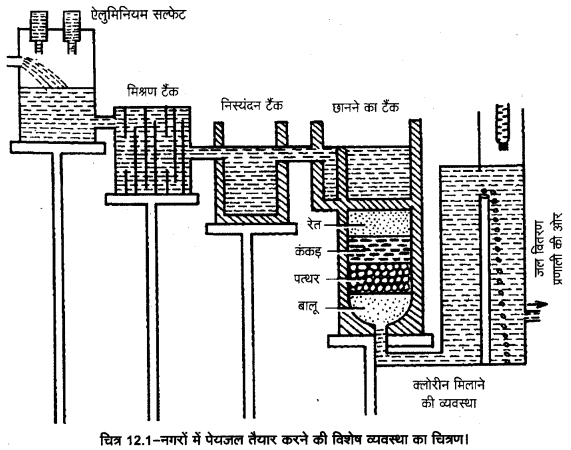 UP Board Solutions for Class 11 Home Science Chapter 12 जल तथा खाद्य पदार्थ आपूर्ति 1
