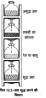 UP Board Solutions for Class 11 Home Science Chapter 12 जल तथा खाद्य पदार्थ आपूर्ति 5