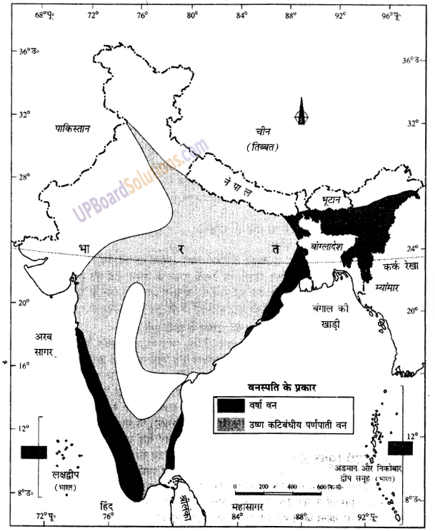 UP Board Solutions for Class 9 Social Science Geography Chapter 5 प्राकृतिक वनस्पति तथा वन्य प्राणी