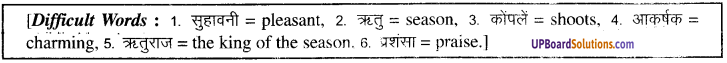 UP Board Solutions for Class 9 English Grammar Chapter 14 Translation image 27