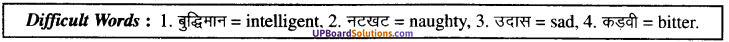 UP Board Solutions for Class 9 English Grammar Chapter 14 Translation image 7
