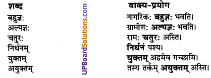 UP Board Solutions for Class 10 Hindi Chapter 4 प्रबुद्धो ग्रामीणः (संस्कृत-खण्ड) img-5