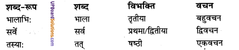 UP Board Solutions for Class 10 Hindi Chapter 5 देशभक्त: चन्द्रशेखरः (संस्कृत-खण्ड) img-5